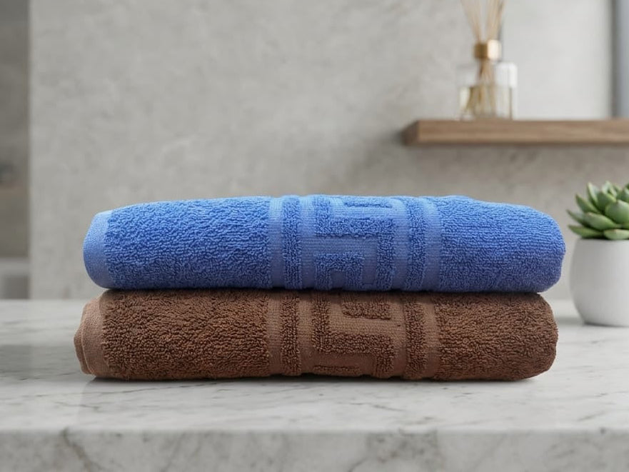 Pack of 2 Premium Export Quality Bath Towel 100% Cotton | High Absorbent (28x58 inches)