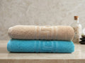 Pack of 2 Premium Export Quality Bath Towel 100% Cotton | High Absorbent (28x58 inches)
