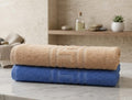 Pack of 2 Premium Export Quality Bath Towel 100% Cotton | High Absorbent (28x58 inches)