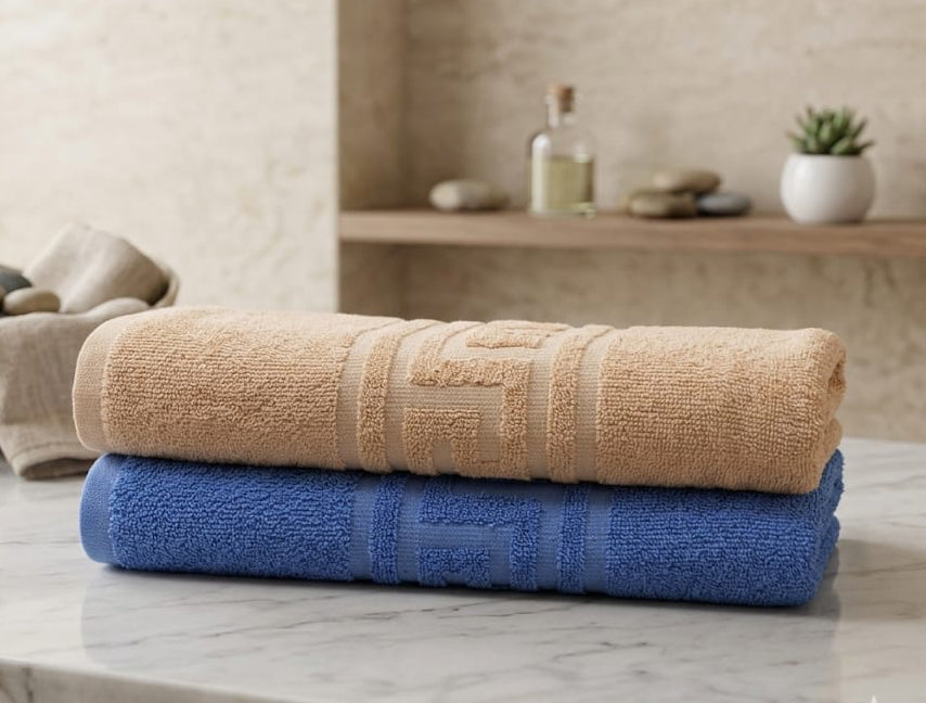 Pack of 2 Premium Export Quality Bath Towel 100% Cotton | High Absorbent (28x58 inches)