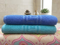 Pack of 2 Premium Export Quality Bath Towel 100% Cotton | High Absorbent (28x58 inches)