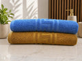 Pack of 2 Premium Export Quality Bath Towel 100% Cotton | High Absorbent (28x58 inches)